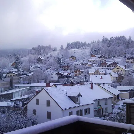 Tilleul Plaza Aparthotel Gerardmer