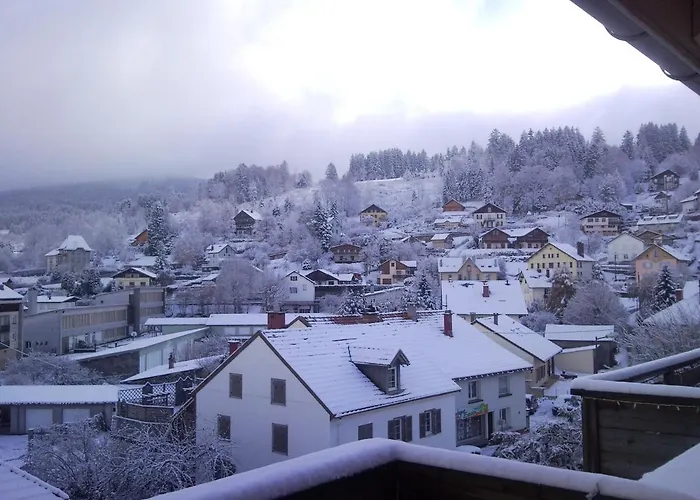 Tilleul Plaza Aparthotel Gérardmer